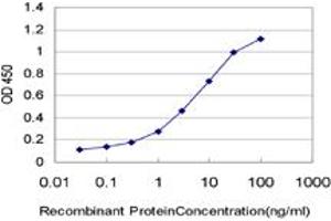 Detection limit for recombinant GST tagged PPP3R1 is approximately 0. (PPP3R1 Antikörper  (AA 1-170))