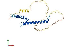AlphaFold protein structure predicition of Mouse Recombinant Ferd3l Protein, UniprotID Q923Z4
