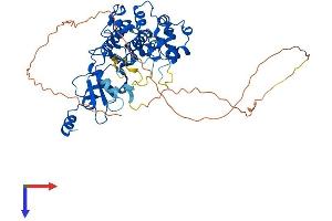 CDK19 Protein (AA 1-501) (His tag)