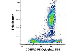 Flow cytometry surface staining pattern of human peripheral whole blood stained using anti-human CD45R0 (UCHL1) PE-DyLight® 594 antibody (4 μL reagent / 100 μL of peripheral whole blood). (CCL20 Antikörper  (PE-DyLight 594))