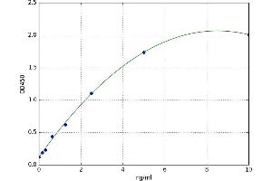 Adenosine A2b Receptor (ADORA2B) ELISA Kit