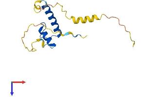 Id2 Protein (AA 1-134) (His tag)