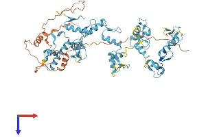 ZNF317 Protein (AA 1-595) (His tag)