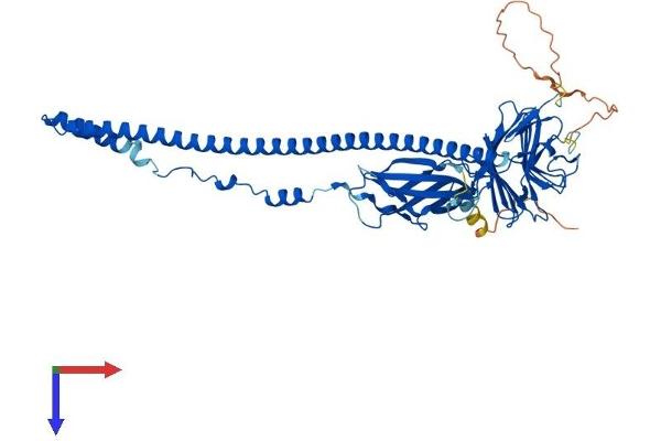 FSD1L Protein (AA 1-507) (His tag)