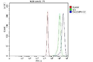 Flow Cytometry analysis of K562 cells using anti-BAG2 antibody (ABIN7599087).