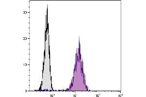 Chinese hamster ovary cell line CHO-K1 and BALB/cAnN mouse B lymphocyte cell line A20 were stained with Hamster Anti-Mouse CD81-BIOT. (CD81 Antikörper  (Biotin))