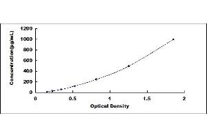 Typical standard curve (Nerve Growth Factor ELISA Kit)