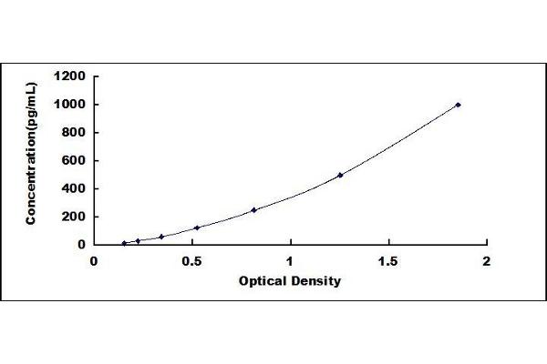 Nerve Growth Factor ELISA Kit