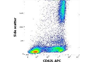 Flow cytometry surface staining pattern of human peripheral whole blood stained using anti-human CD62L (LT-TD180) APC antibody (10 μL reagent / 100 μL of peripheral whole blood). (L-Selectin Antikörper  (APC))