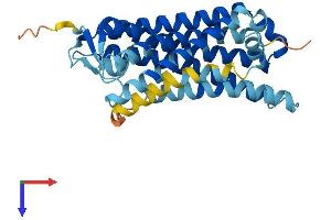 OR6B2 Protein (AA 1-312) (His tag)