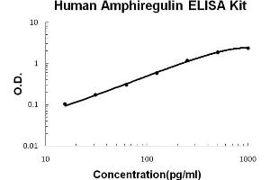Human Amphiregulin(AR) Accusignal ELISA Kit Human Amphiregulin(AR) AccuSignal ELISA Kit standard curve. (Amphiregulin ELISA Kit)