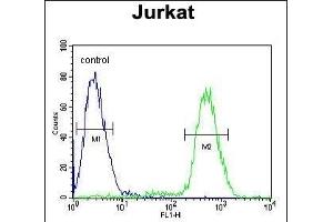 P1R3A Antibody (Center) (ABIN654633 and ABIN2844329) flow cytometric analysis of Jurkat cells (right histogram) compared to a negative control cell (left histogram).