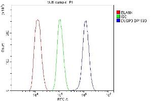 Flow Cytometry analysis of THP-1 cells using anti-DUSP3 antibody (ABIN7601613).