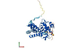 Protein Structure (PS) image for Cyclin D1 (CCND1) (AA 1-295) protein (His tag) (ABIN7563007)
