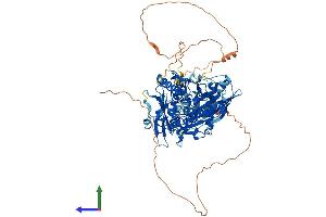 Protein Structure (PS) image for Adenosine Deaminase, RNA-Specific, B1 (ADARB1) (AA 1-711) protein (His tag) (ABIN7564836)