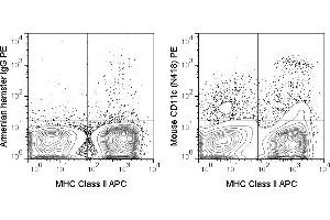 C57Bl/6 splenocytes were stained with APC Anti-Mouse MHC Class II (ABIN6961495) and 0. (CD11c Antikörper  (PE))
