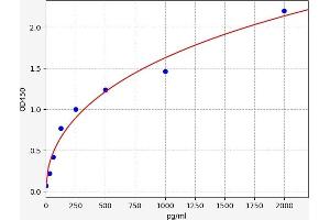 Chemokine (C-X-C Motif) Ligand 2 (CXCL2) ELISA Kit