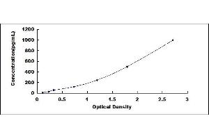 Adrenomedullin ELISA Kit