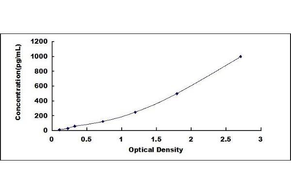 Adrenomedullin ELISA Kit