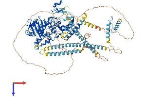 MORC3 Protein (AA 1-939) (His tag)