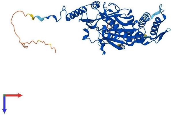 MRPS30 Protein (AA 1-439) (His tag)