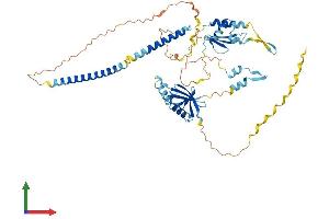 AlphaFold protein structure predicition of Human Recombinant UBXN11 Protein, UniprotID Q5T124