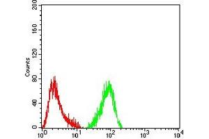 Flow cytometric analysis of Hela cells using MUC5B mouse mAb (green) and negative control (red). (MUC5B Antikörper  (AA 5630-5757))