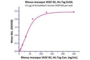 Binding Studies (Bind) image for VEGF Receptor 2 (VEGFR2) (AA 20-764) (Active) protein (His tag) (ABIN2870798)