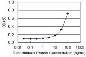 Detection limit for recombinant GST tagged CA4 is 3 ng/ml as a capture antibody. (CA4 Antikörper  (AA 27-126))