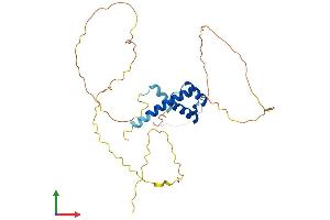 Protein Structure (PS) image for Homeobox A11 (HOXA11) (AA 1-313) protein (His tag) (ABIN7548484)