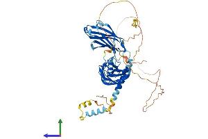 Protein Structure (PS) image for Synaptotagmin VI (SYT6) (AA 1-510) protein (His tag) (ABIN7544065)