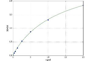 Protein Kinase, CAMP Dependent, Catalytic, beta (PRKACB) ELISA Kit