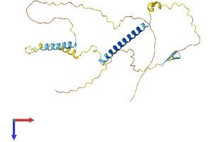 TAF1D Protein (AA 1-278) (His tag)
