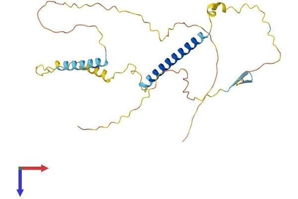TAF1D Protein (AA 1-278) (His tag)