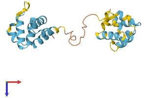 PYCARD Protein (AA 1-193) (His tag)