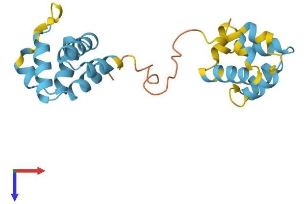 PYCARD Protein (AA 1-193) (His tag)