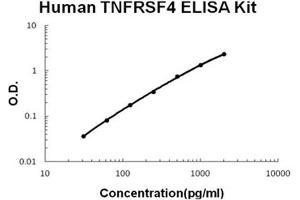 ELISA image for Tumor Necrosis Factor Receptor Superfamily, Member 4 (TNFRSF4) ELISA Kit (ABIN1672897)