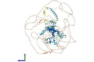 Protein Structure (PS) image for Activity-Dependent Neuroprotector Homeobox (ADNP) (AA 1-1108) protein (His tag) (ABIN7565265)