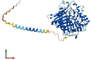 Protein Structure (PS) image for Phospholipase D family member 3 (PLD3) (AA 1-490) protein (His tag) (ABIN7550830)