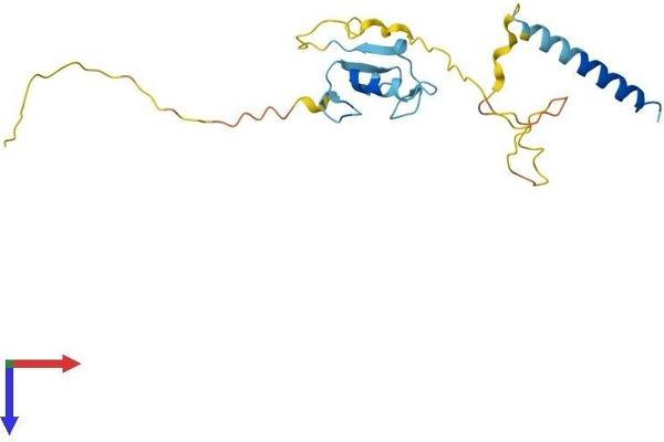 RNF185 Protein (AA 1-192) (His tag)
