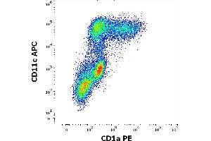 Flow cytometry multicolor surface staining of human stimulated (GM-CSF + IL-4) peripheral blood monocytes stained using anti-human CD1a (HI149) PE antibody (20 μL reagent per milion cells in 100 μL of cell suspension) and anti-human CD11c (BU15) APC antibody (10 μL reagent per milion cells in 100 μL of cell suspension). (CD1a Antikörper  (PE))