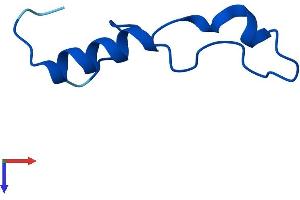 RPL39L Protein (AA 1-51) (Fc Tag)