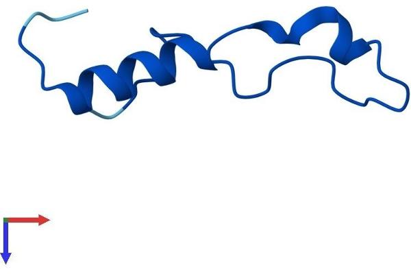 RPL39L Protein (AA 1-51) (Fc Tag)