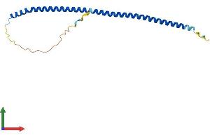 Protein Structure (PS) image for Pallidin Homolog (PLDN) (AA 1-172) protein (His tag) (ABIN7556184)