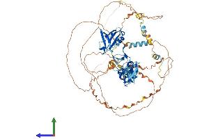 Protein Structure (PS) image for LIM Domain Binding 3 (LDB3) (AA 1-727) protein (His tag) (ABIN7549009)