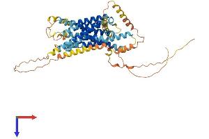 GPR135 Protein (AA 1-494) (His tag)