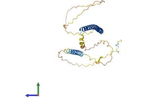 Protein Structure (PS) image for X-Box Binding Protein 1 (XBP1) (AA 1-261) protein (His tag) (ABIN7556033)