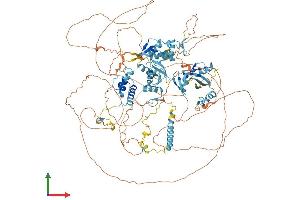 Protein Structure (PS) image for Activity-Dependent Neuroprotector Homeobox (ADNP) (AA 1-1102) protein (His tag) (ABIN7552033)