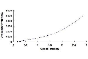 PLA2G6 ELISA Kit