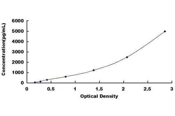 PLA2G6 ELISA Kit